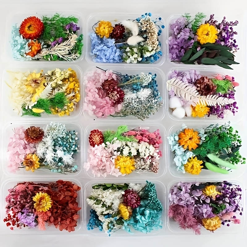 Preserved Flower DIY Kit with 8-10 Flower Types, Photo Frame, Candle, Aromatherapy, Soap, Straw Hat Materials, Gift Set
