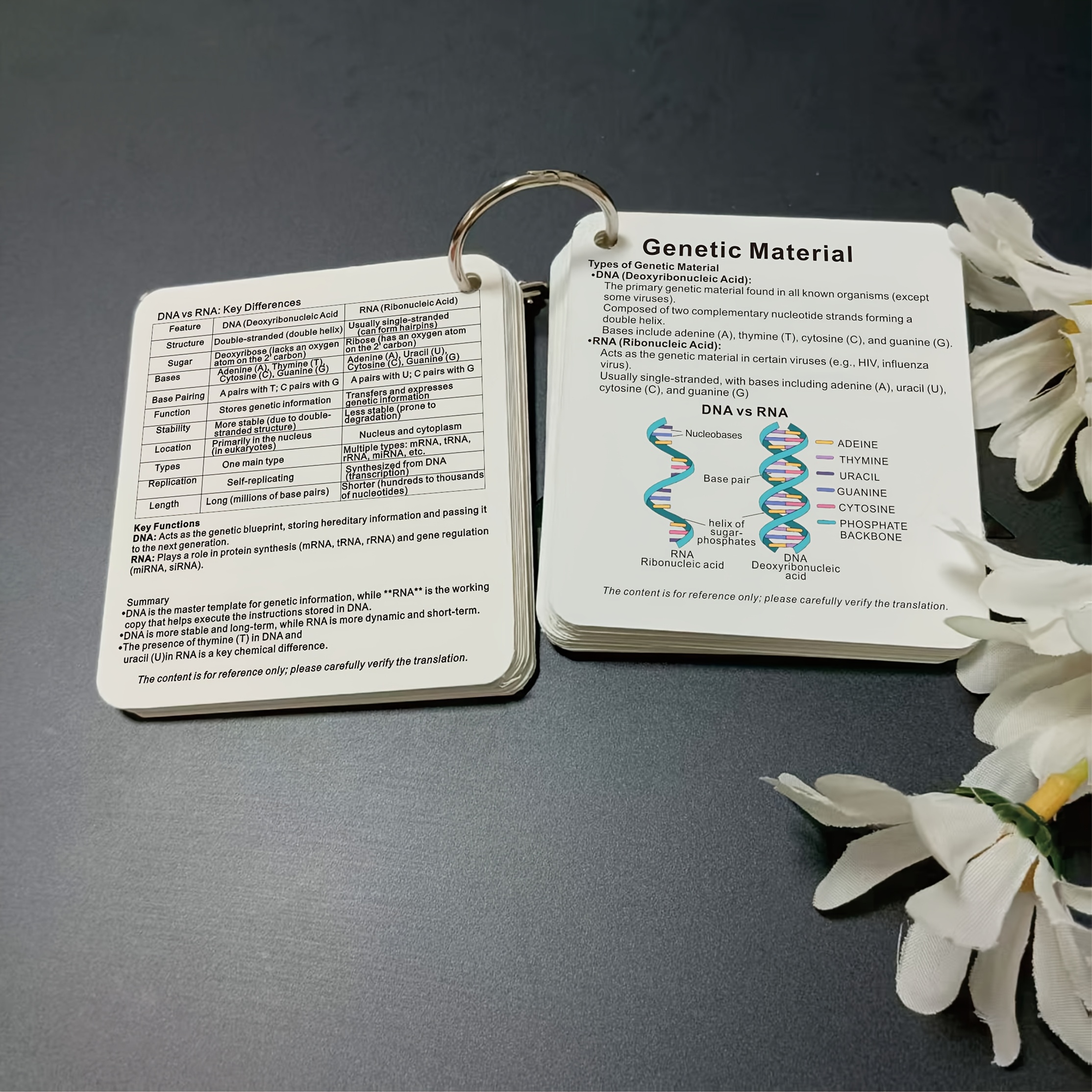 E-shop Zellbiologie Schlüsselbegriffe Lernkarten, Lernkarten für Zellbiologie, Entschlüsseln Sie Schlüsselbegriffe Zellbiologie Wissenskarten,