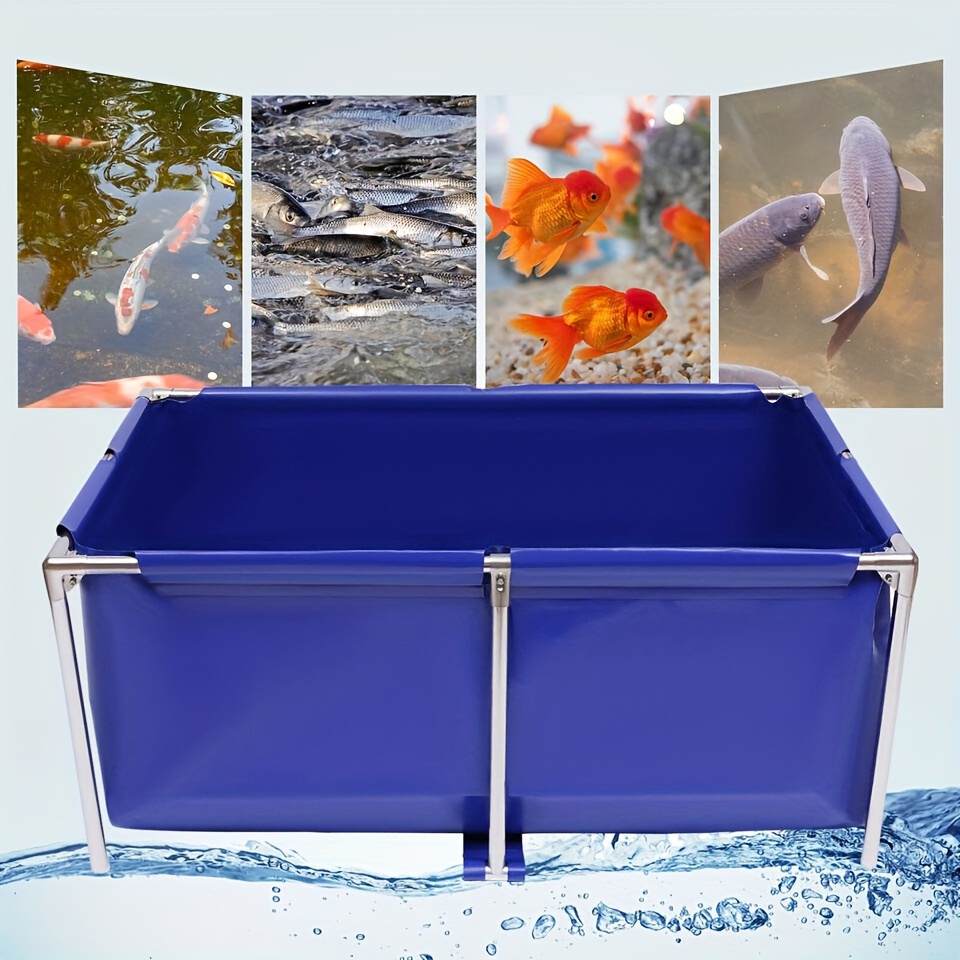 

Modern Blue Aquarium Fish Water Tank, Ornamental Swimming Pool Koi Breeding Pond