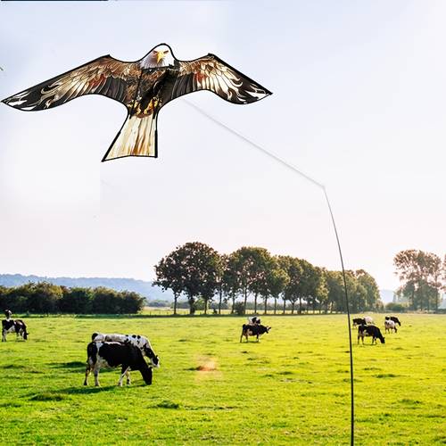 item picture 2pcs anti bird kite set replacement use prevent birds visual fatigue stronger anti bird effect protect crops gardens