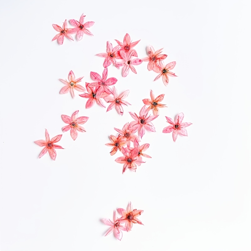 Image of 27pcs Dried Flowers, Suitable For Diy Resin Phone Cases, Photo Frames, Nail Art, And Face Decals, Used As Christmas Thanksgiving Festival Decorative Flowers