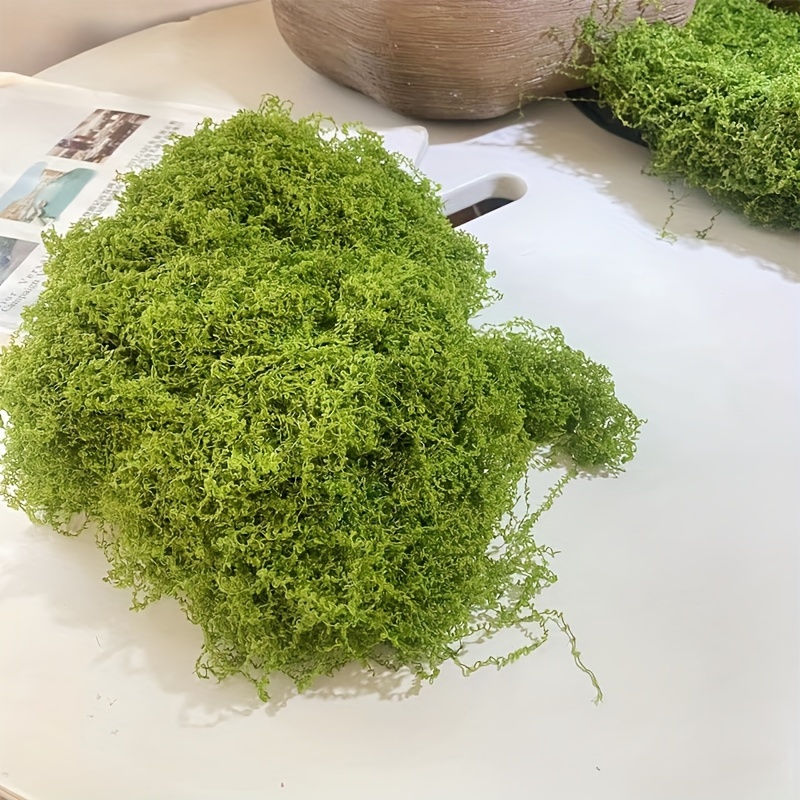 20/40g Simulación de musgo artificial Planta verde Decoración del hogar DIY  Accesorios de paisaje en miniatura Decoración de jardín de musgo falso