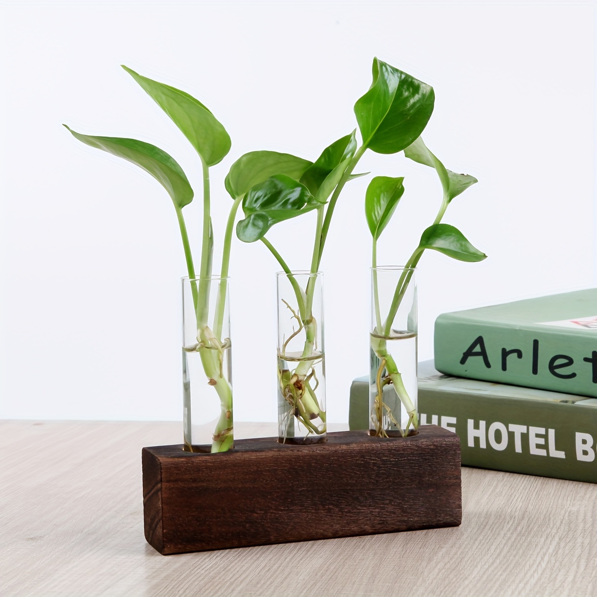 Image of Desktop And Wall-mounted Glass Flower Pots, Plant Propagation Station With 3/6 Test Tubes, Suitable For Home, Office, Garden, Living Room, And Bedroom Glass Plant Containers, A Gift For Women