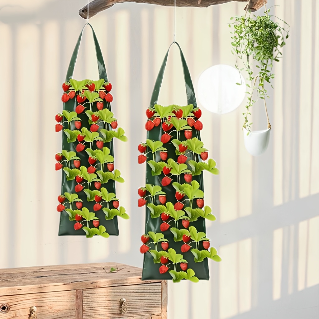 indoor plant growing kits Indoor Hydroponic Smart Garden for Vegetables and Herbs Single