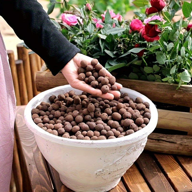 medium sized lightweight expanded clay pebbles for hydroponic planting featuring a honeycomb structure for   aeration suitable for succulents