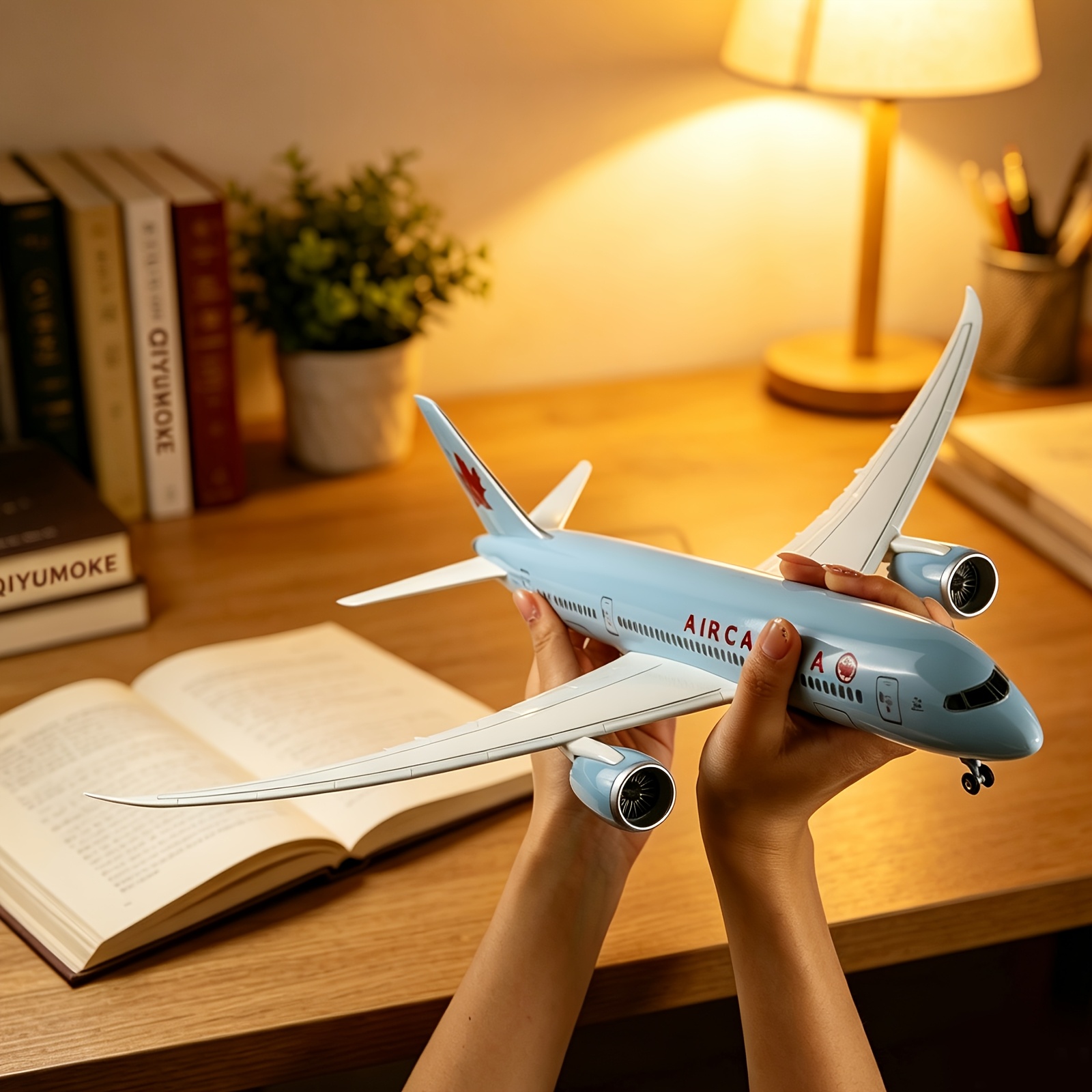 model aircraft kits sold on Temu United States