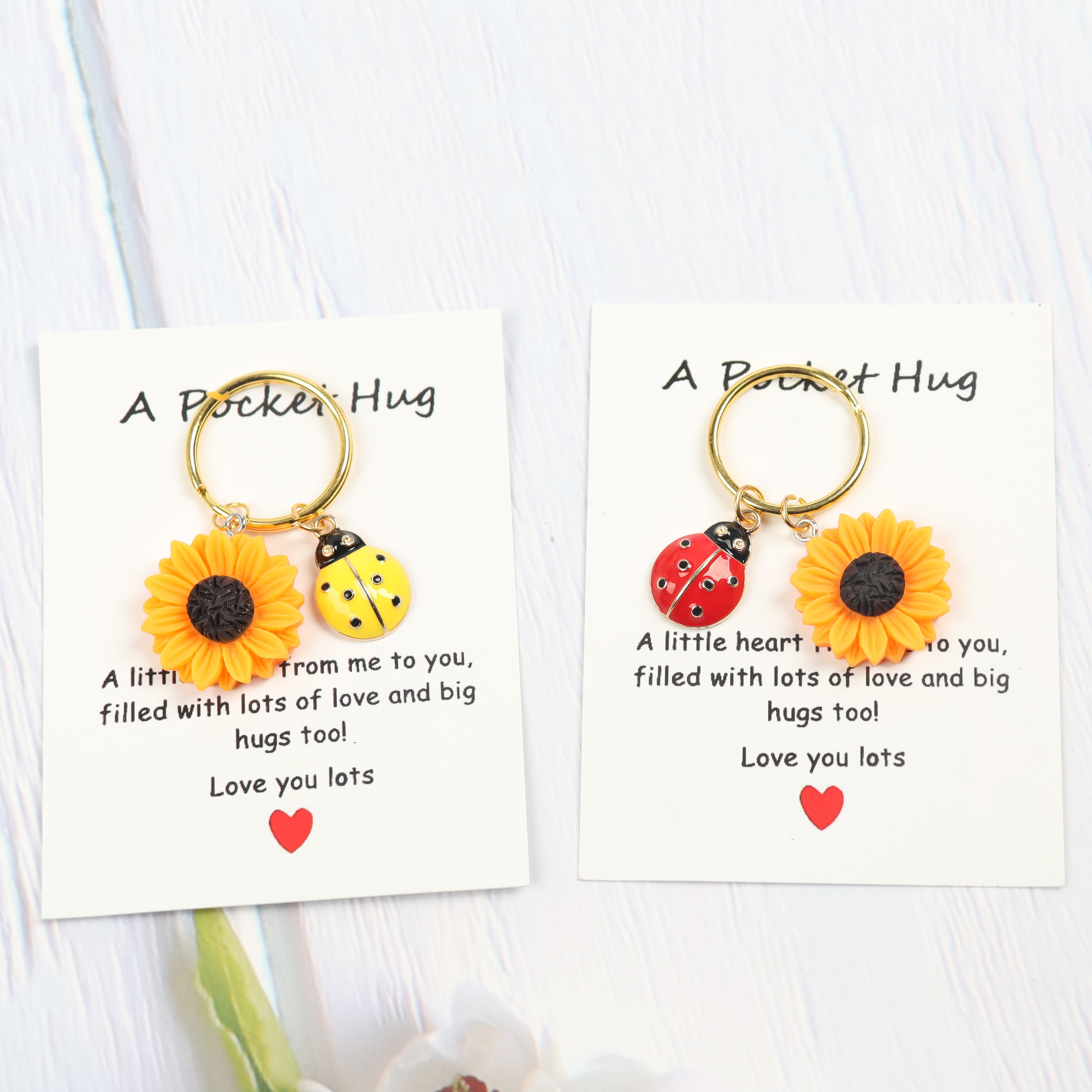 positivity charm inspirational hug themed keychain with ladybug