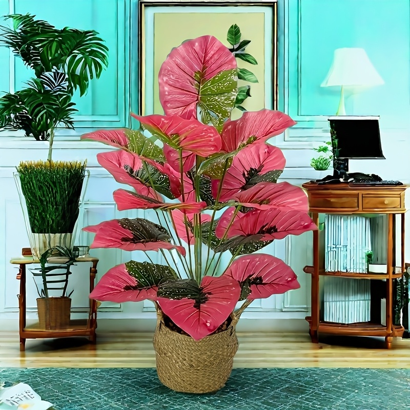 

Calacia Plant - Decor, Ideal Gift For Weddings, Anniversaries & Holidays (easter, 's Day, Valentine's) - No Pot Included