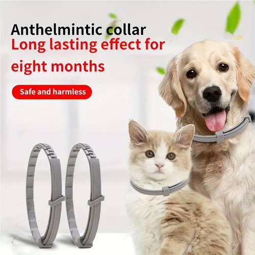 cat and dog calming collar must have for summer