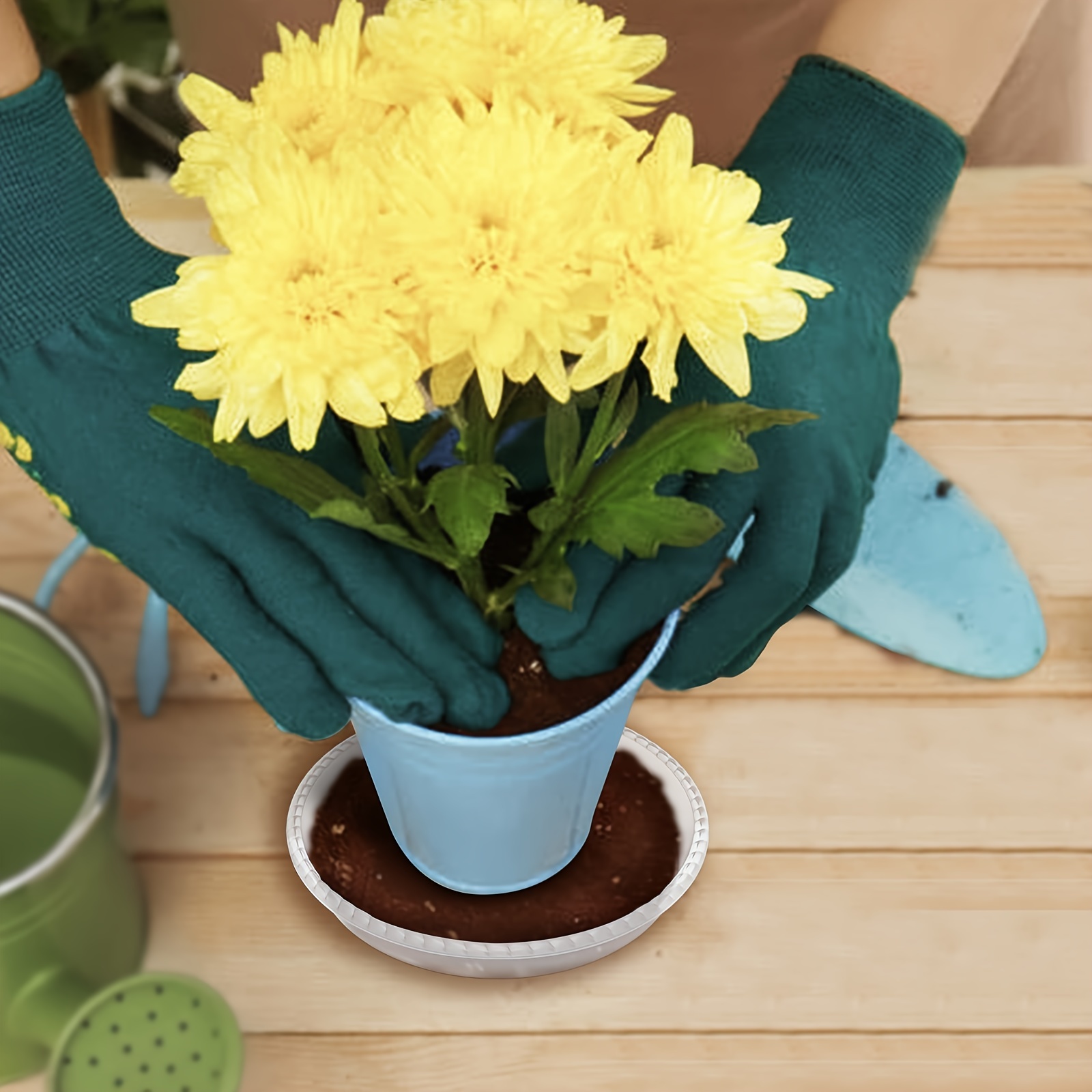 Veemoon Lot 5 Soucoupes Ronde 8 Cm – Plateaux Plastique Pour Pots Fleurs & Bonsaï, Anti-Fuite