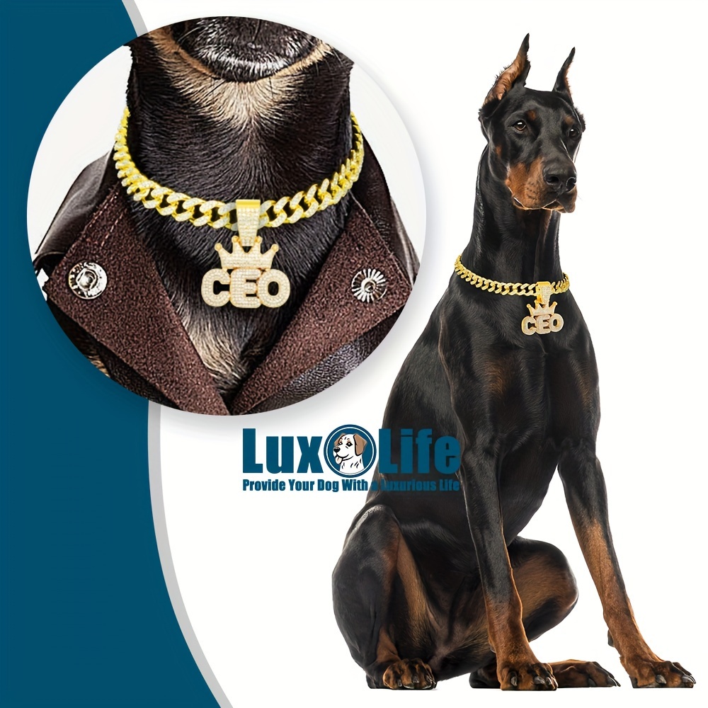 Golden Plated Dog Chain Collar Necklace With CZ &*;CEO&*; Letter Wearing A  Cuban Link Dog Collar 13mm Wide Dog Necklace Cat Chain Pet Collar Jewelr