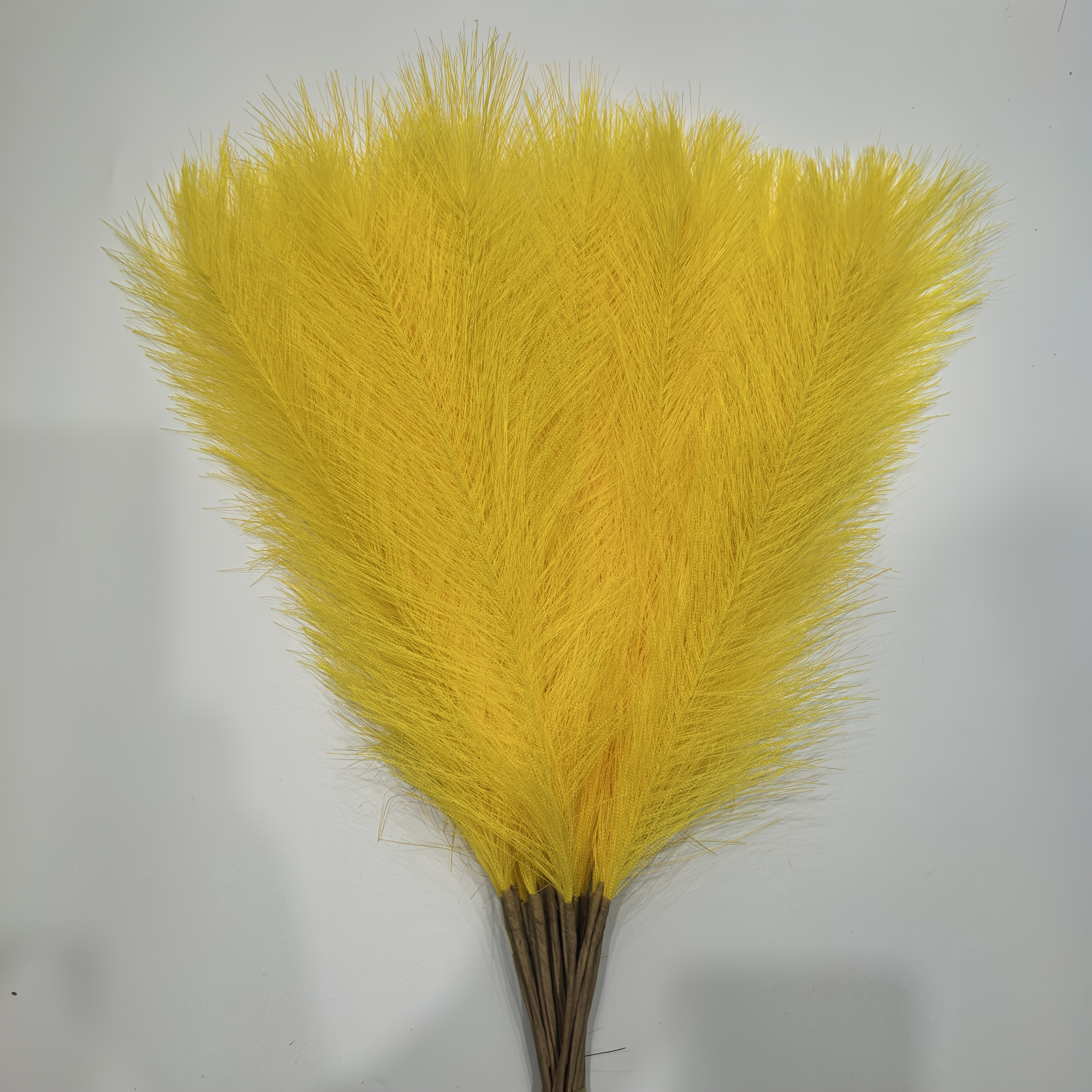 TEMU Set Of 24 Artificial Pampas Grass Stems