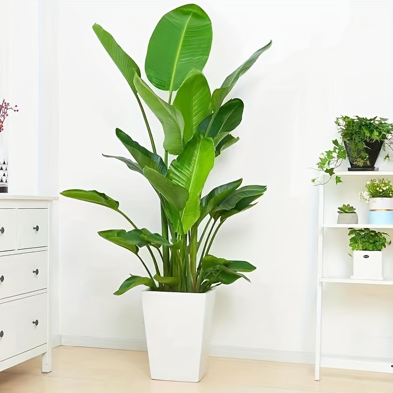 blumenkasten 25 cm tief Neu !! Kleiner Pflanzkasten 25 cm breit mit je 2 Henkel aus Weide Blum  La  Casa