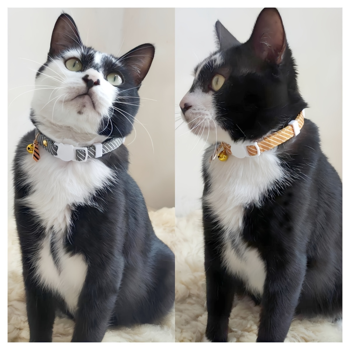 stripe cat collar lightweight cute adjustable cat collar with tie pendant suitable for wedding party decoration elegant style cat and kitten collar Product details 0