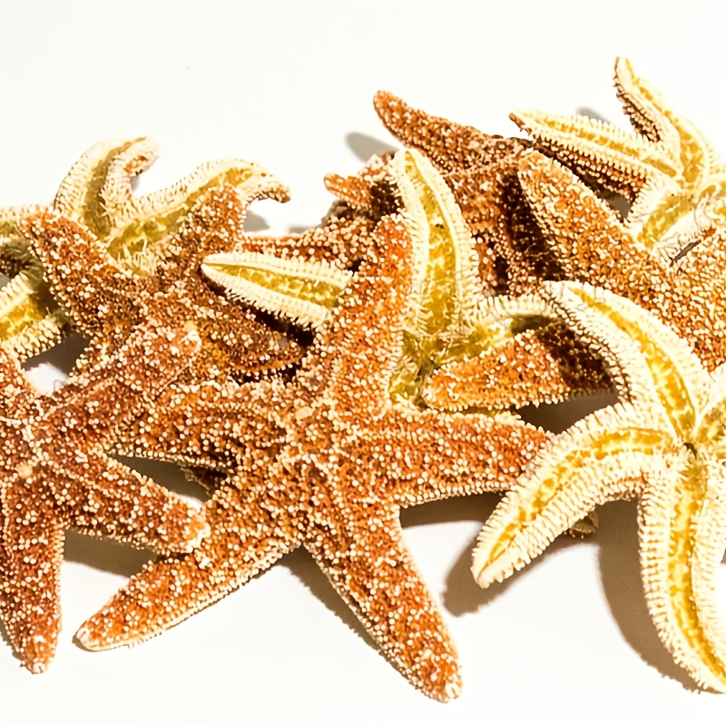 TEMU Pack Of 2/5 2-2.7, Starfish, Summer Beach Wedding Aquarium Ornaments, Valentine's Day Gifts, Bohemian, Vintage, Rustic, Outdoor Garden Decor,
