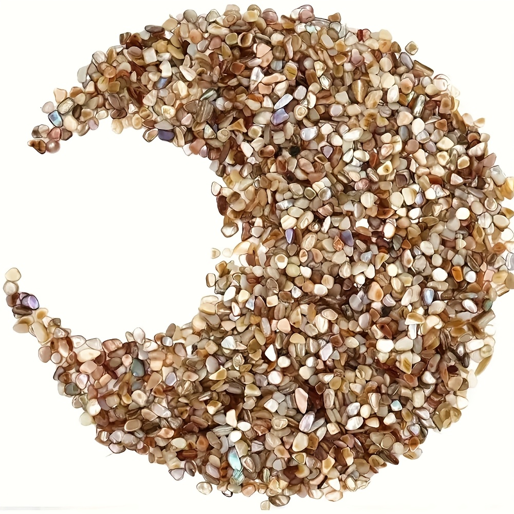 280pcs Natural Abalone Shell Chips for DIY Crafts