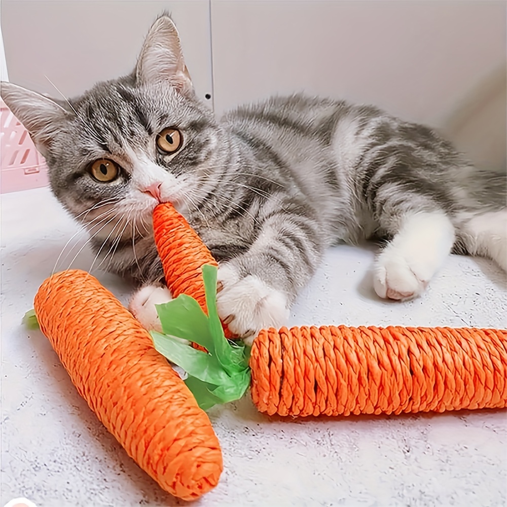 

1pc Pet Cat Toys, Interactive Cat Toys For Indoor, Cat Kicker Toy, Motion Kitten Toy Rope String Carrots Radish Toy, Bite Chew Scratching Toys