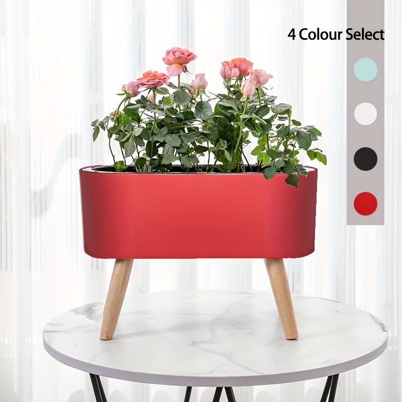 indoor white plant pots Syngonium White Butterfly – Hey Rooted main image 0