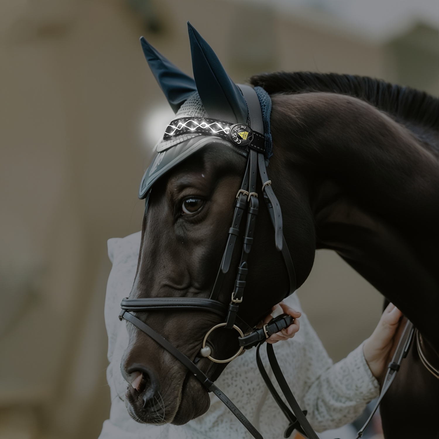 Image of Led Light- Horse Headband, Forehead Light Strip Suitable For Horse Halters, Illuminated Night Riding Safety Equipment, Adjustable Equestrian Rope Embroidered Headwear Additions