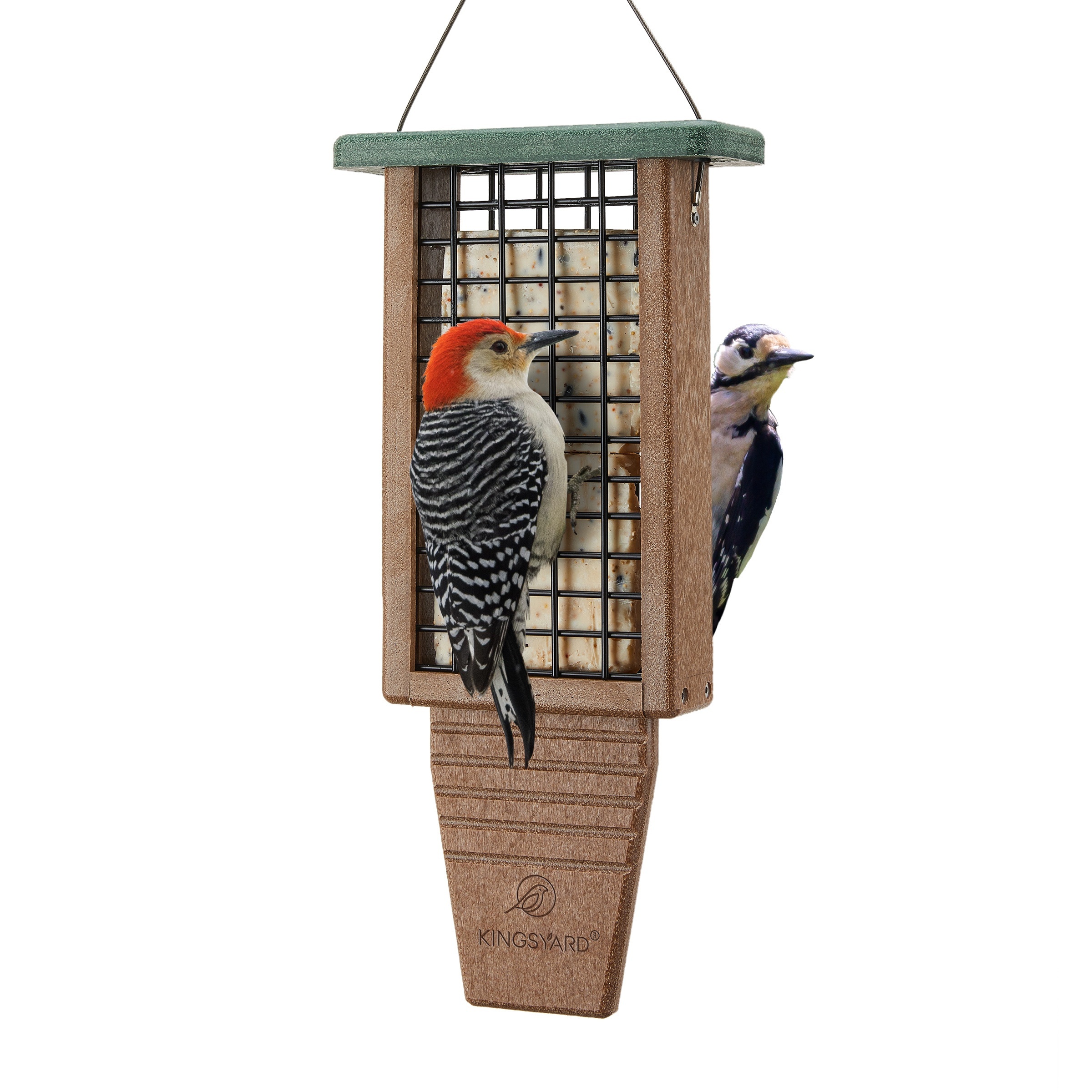 

Kingsyard Plastic Suet Bird Feeder, Tail-prop Suet Feeder For Outside Hanging, Sturdy & , Great For & Clinging Birds