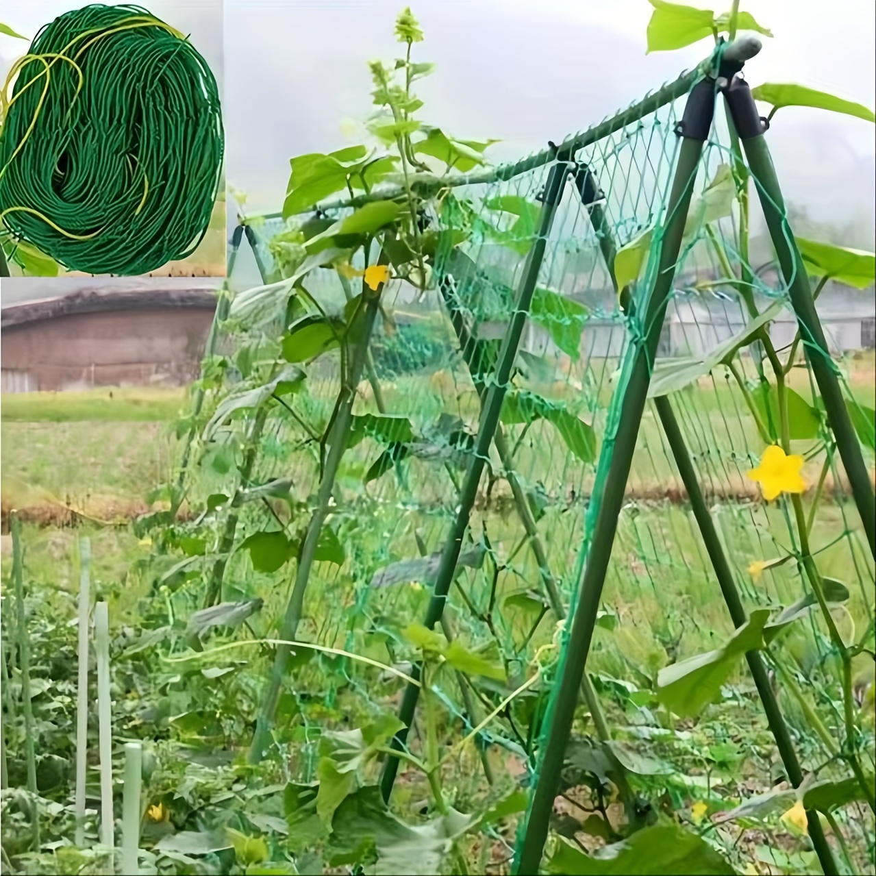 

Heavy-duty Garden Trellis Netting For Climbing Vegetables, Cucumbers & Tomatoes - Strong Support, Durable Plastic, 70.87" X 141.73