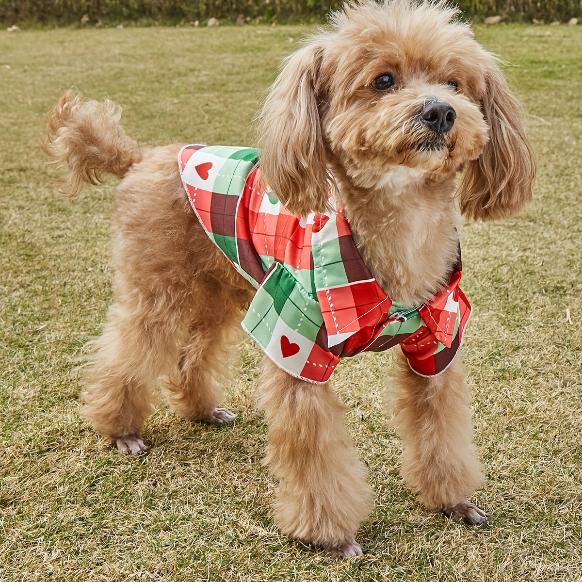 ropa transpirable para mascotas en y verano, camisetas y camisas