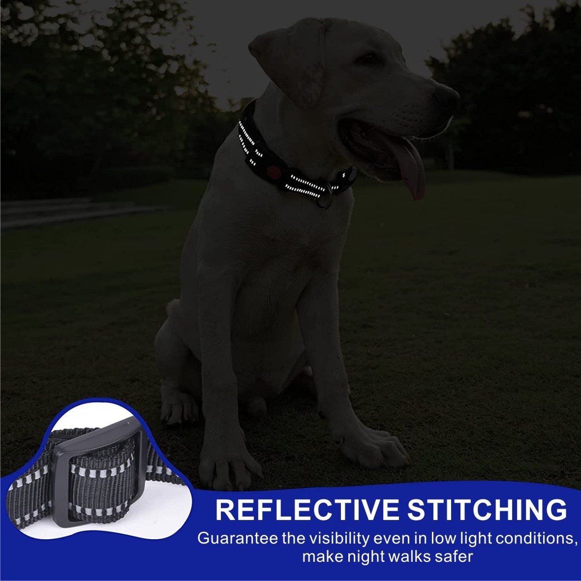 Reflective Breathable Dog Collar and Lead Set, Adjustable Leash