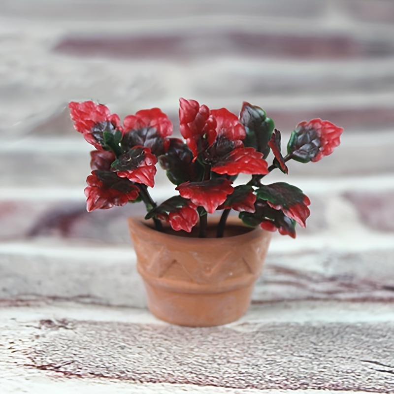 Miniature Food Play Scene Model Dollhouse Accessories Mini Temu New Zealand