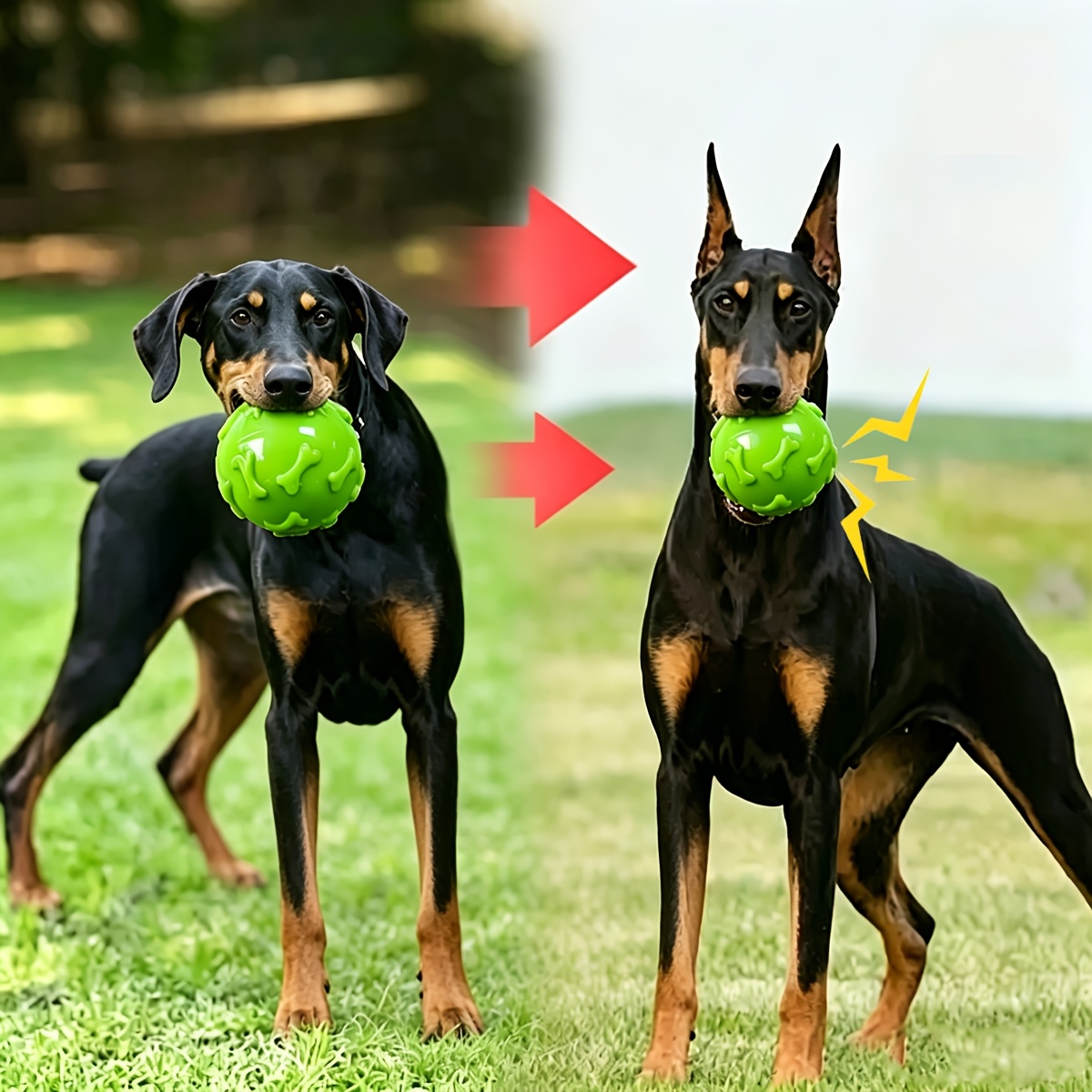 TEMU Squeaky Dog Ball: A Chew Toy And Fun, Interactive Training Gift For Small, Medium, And Large Dogs