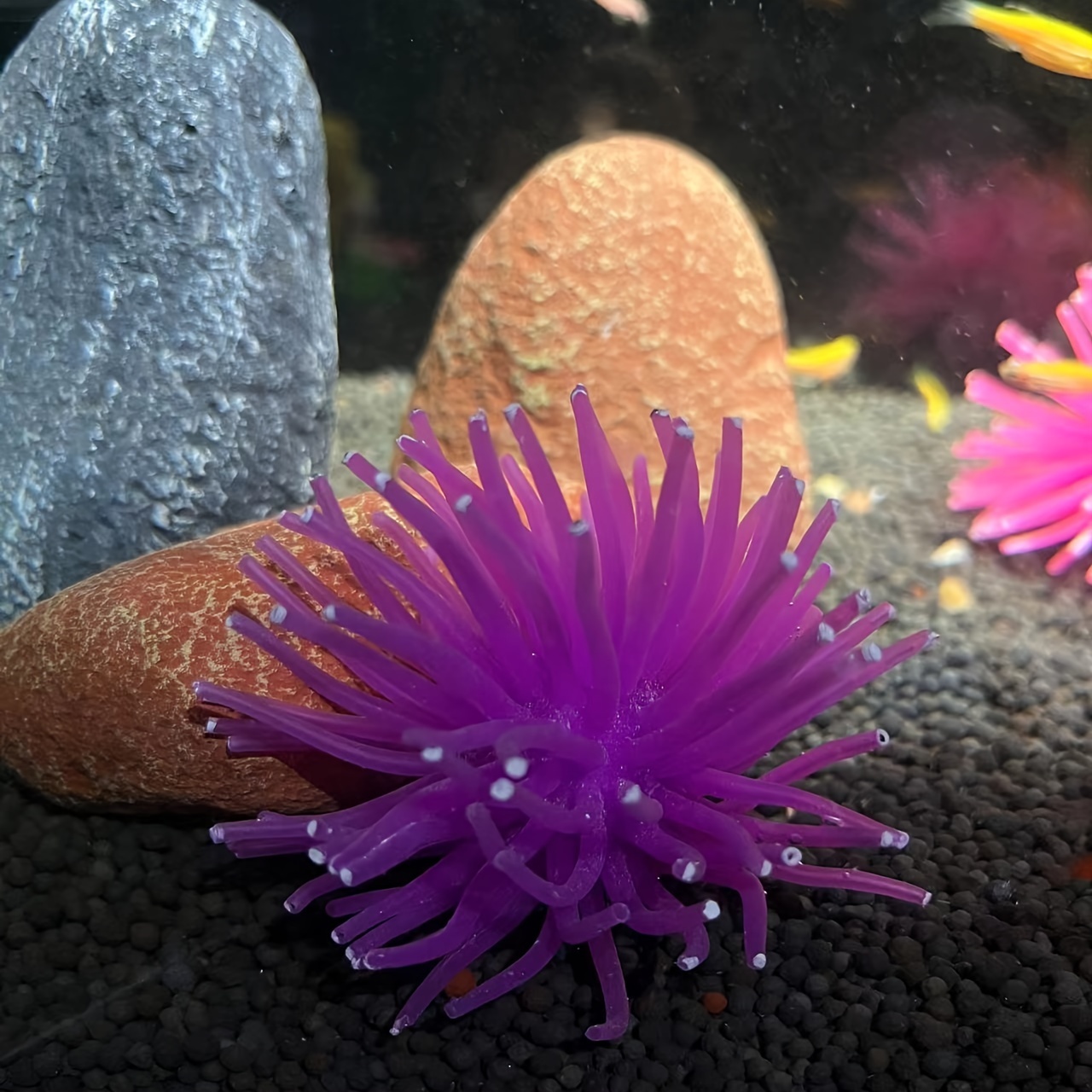 

Sea Decor For Aquariums - Tpu , For Tank Landscaping