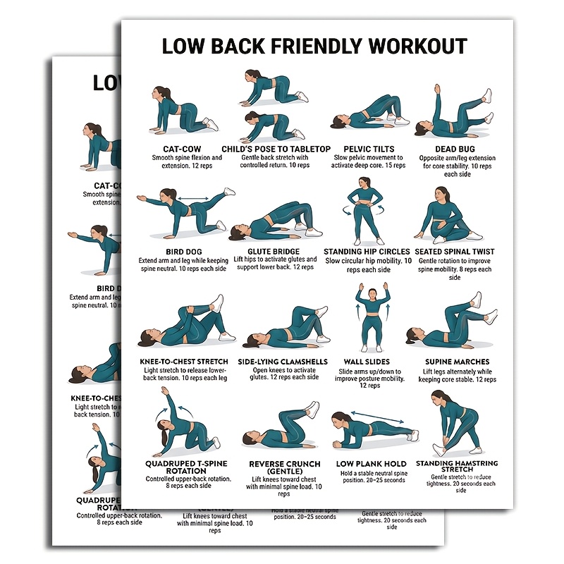 TEMU 2pcs Lower Back Workout Poster - Gentle Stretching & Core Exercise Chart Suitable For Home Gym, Posture Guide Print, Lower Back Friendly Fitness