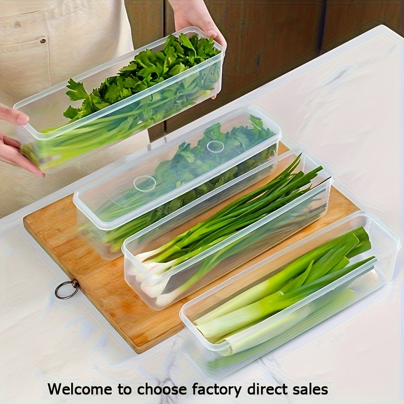 TEMU 4-pack Bpa-free Plastic Food Storage Containers With Lids, Reusable Rectangular Refrigerator Organizer For Onions, Parsley, Coriander, Garlic,