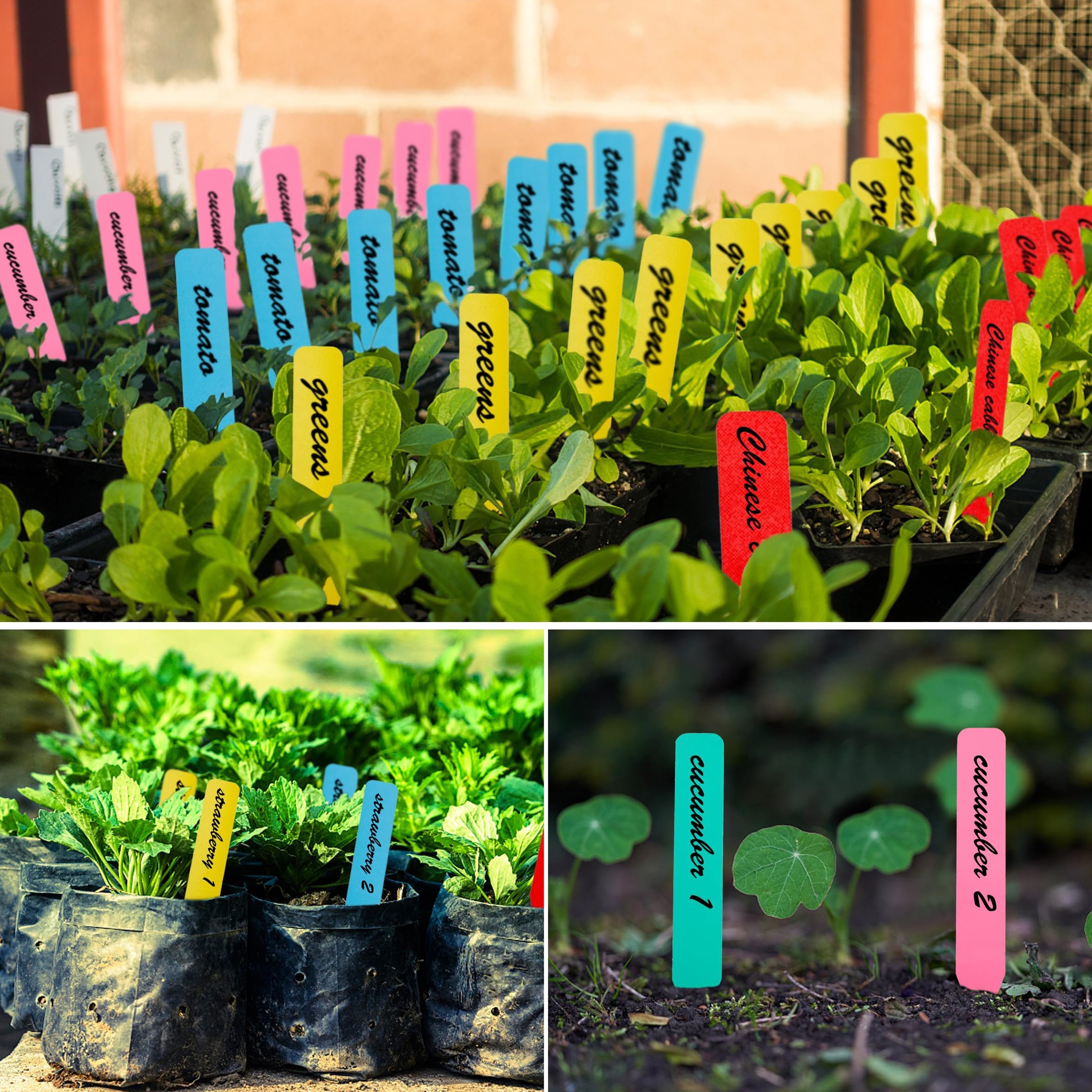 

50pcs, Plastic Plant Labels 4-inch, Garden Markers With Permanent Marker Pen, Weather Resistant Seed Tags For Seedlings, Nursery Plant Identification Stakes For Outdoor Garden Use, Assorted Colors