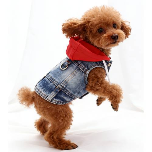 1pc brand hooded harness vest imitation denim spring autumn outfit for small dogs suitable for bichon dogs and cats