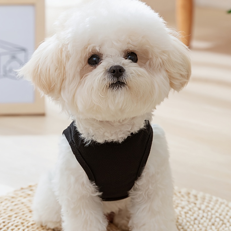 [Customized Colored Logo] - Pet Customizable - Breathable Mesh Vest - Suitable for Cats And Dogs - with Paw Print Design And D-Ring - for Leash Use - Available in Pink, Blue, Green, Lemon Yellow, And Light Purple - with 4 Sizes to Choose from