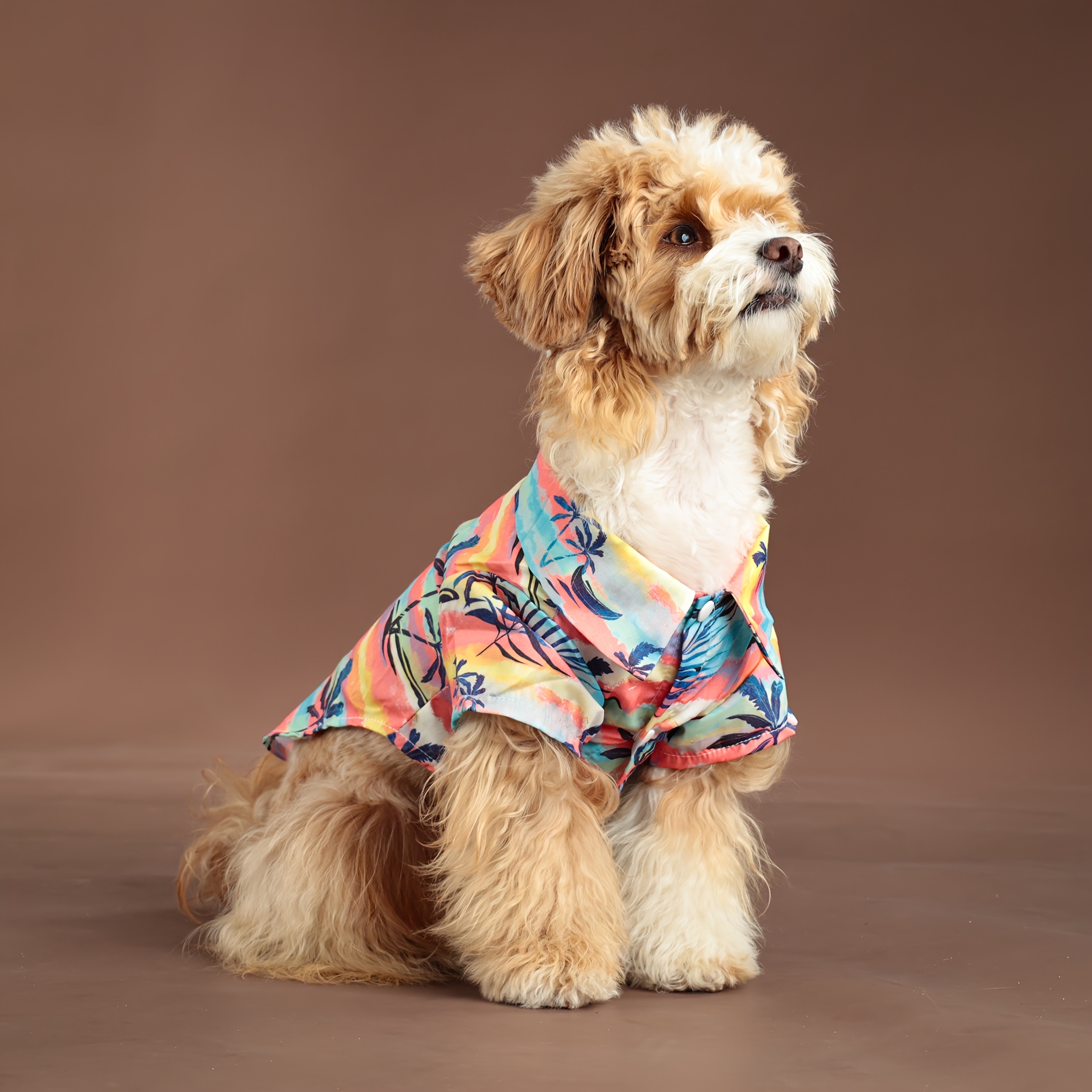 2 Pack Cooling Shirts For Dogs, Breathable Lightweight Dog