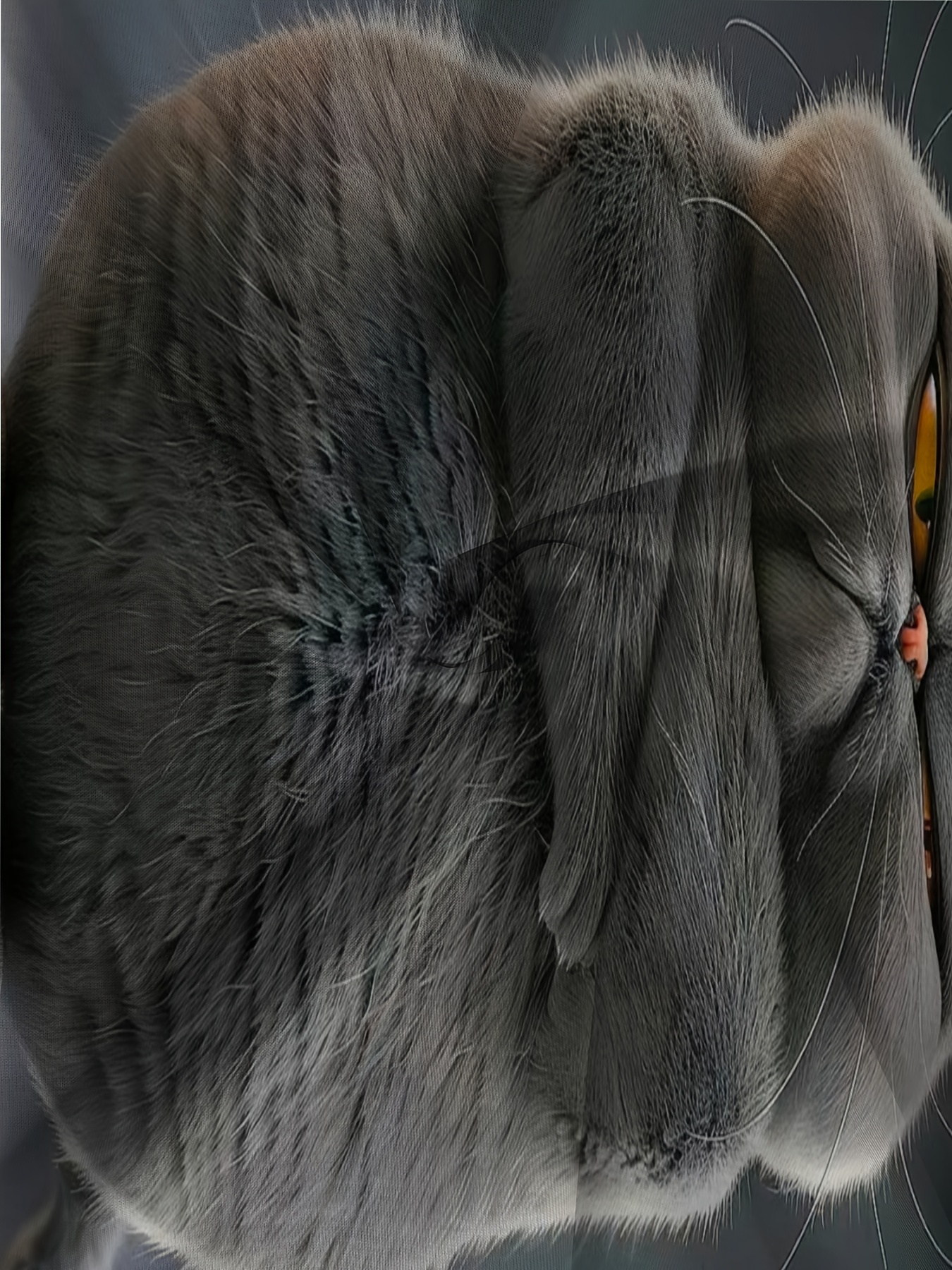 Men'S Big Size T-Shirt with Angry Cat Print, Polyester 95% Spandex 5%, Crew Neck, Casual Sports Style, Regular Fit, Knit Fabric, Slight Stretch, 180g/m? - Animal Pattern Top, Plus Size