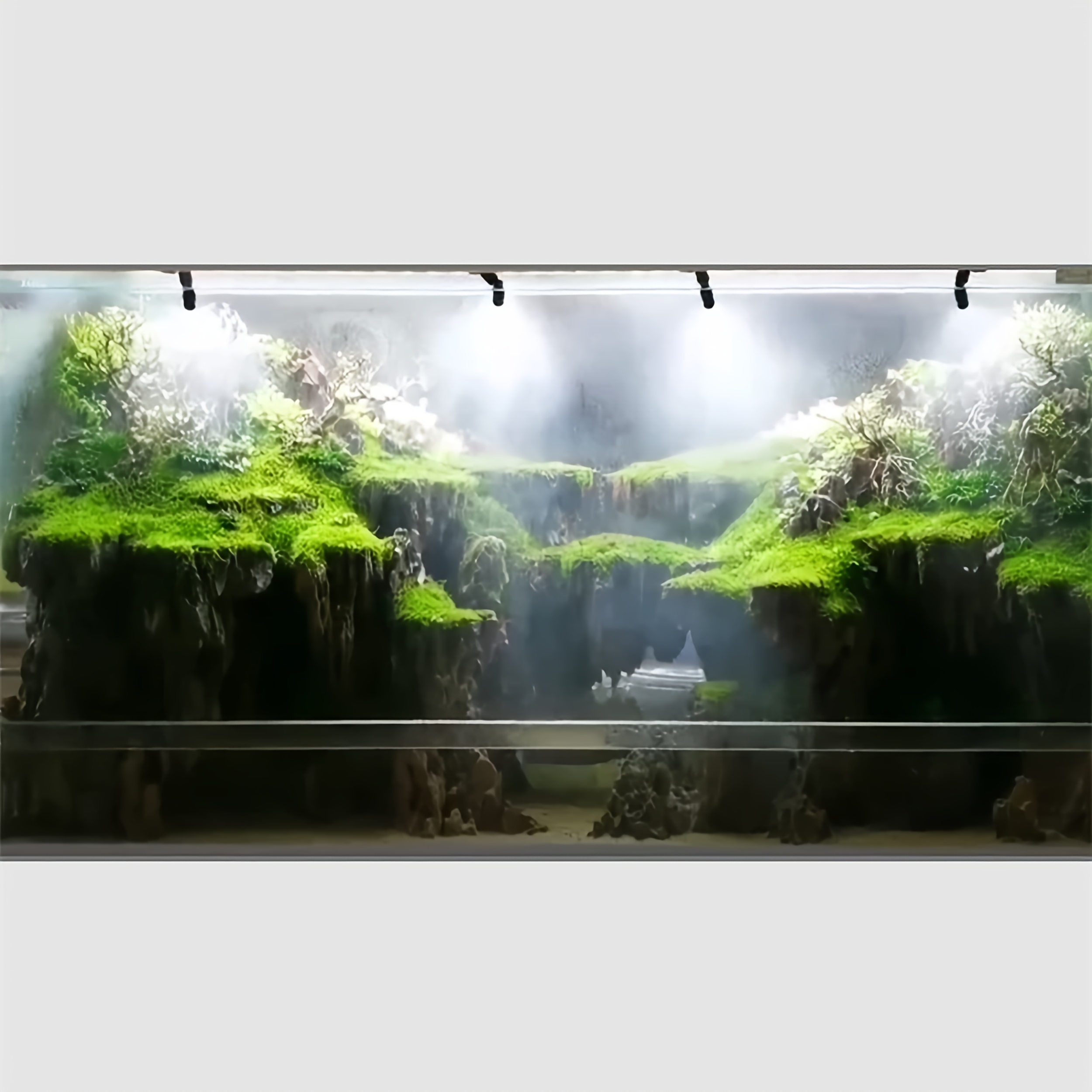Ultraschall Nebelmacher Für Terrarium | Reptilien Luftbefeuchter | Leiser Nebler Für Reptilien & Amphibien