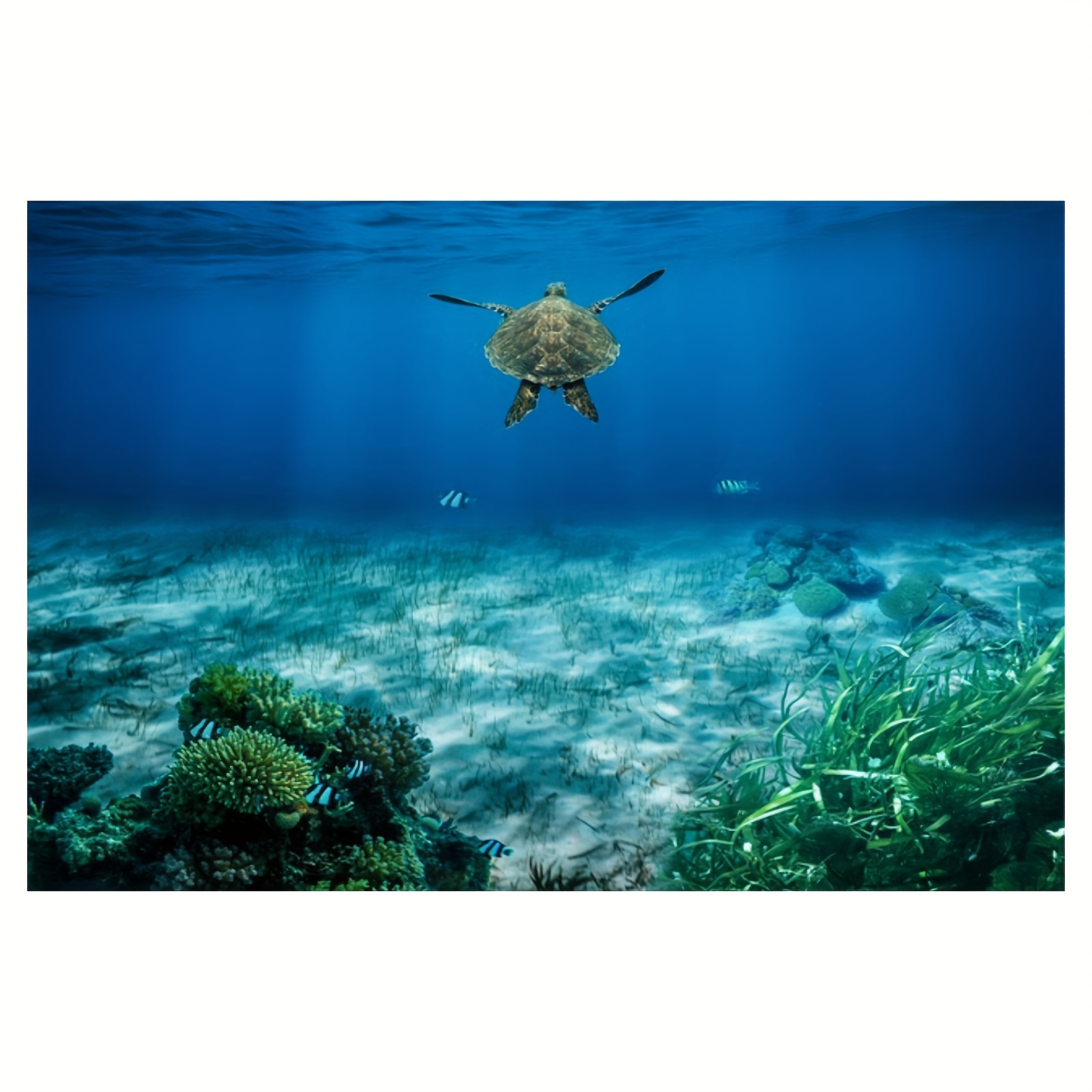 premium 45.72x30.48cm ramme - hjem og kjøkken - Temu, image size:1600x1600