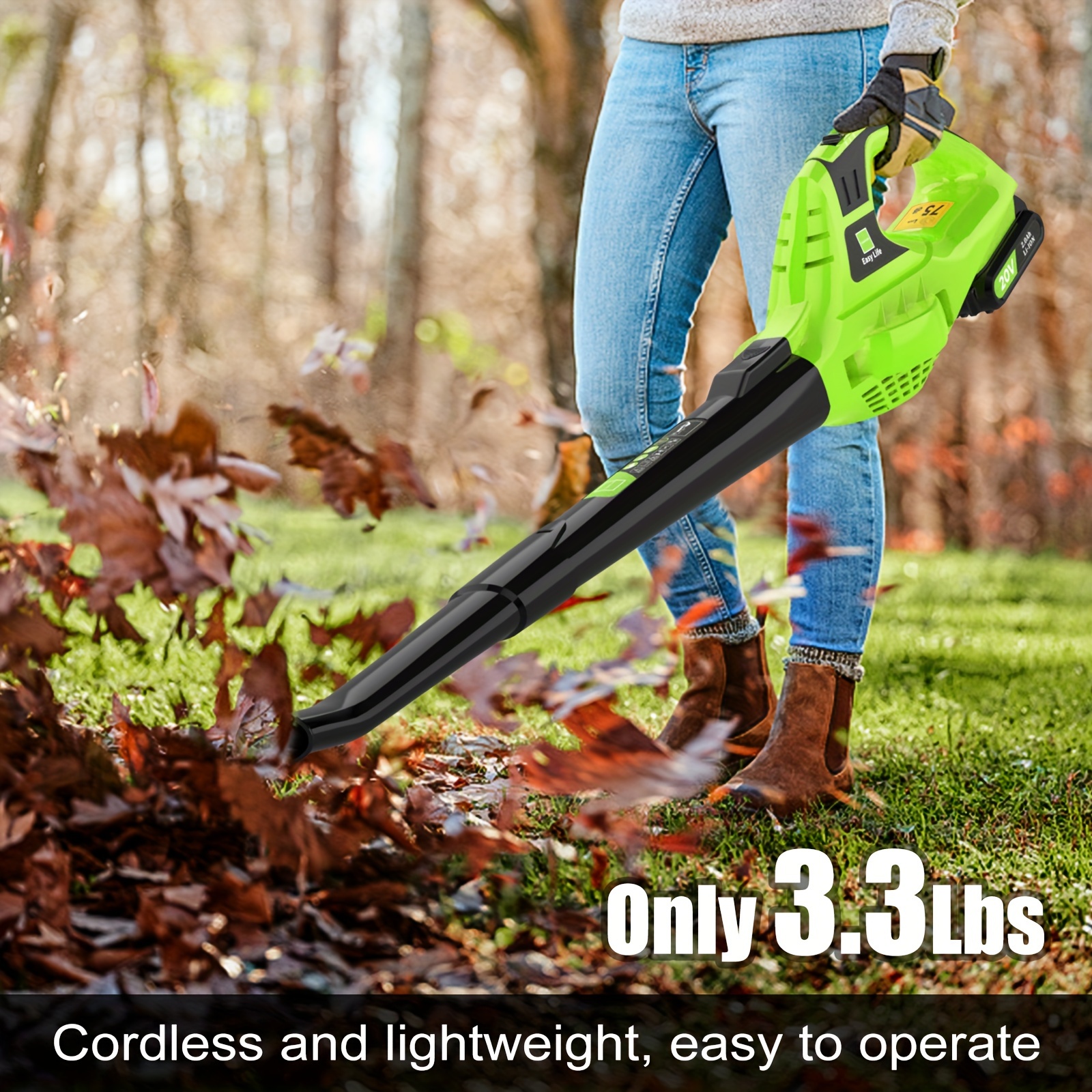 Small lightweight cordless leaf blower discount
