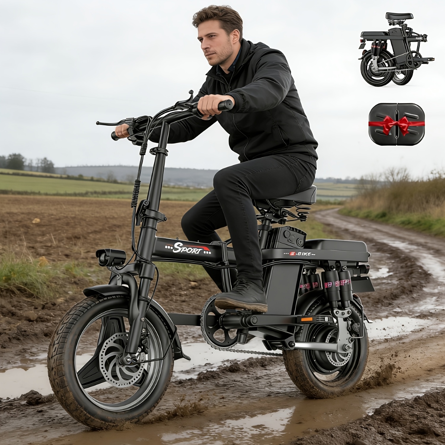 folding electric bikes sold on Temu United States