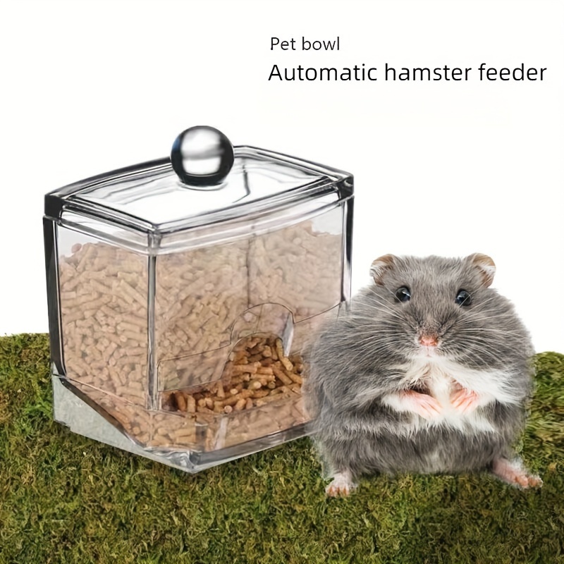 Automatic hamster shop feeder with timer