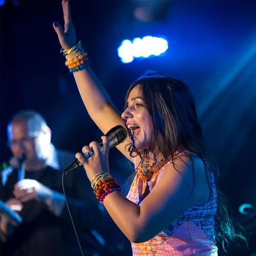 professional mobile multi purpose dynamic wired microphone portable trolley audio karaoke singing ktv conference handheld microphone suitable for conferencing live streaming recording and video games