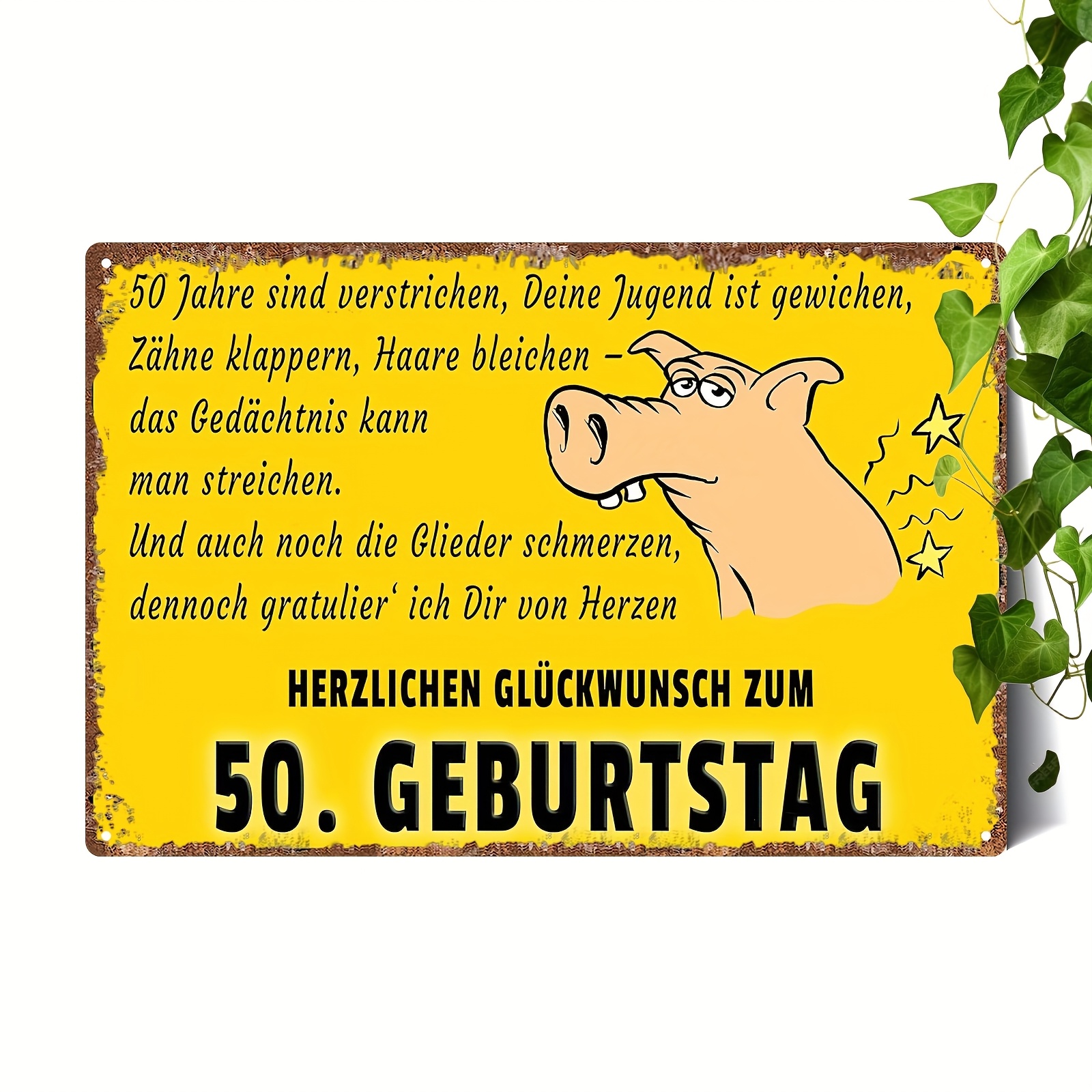 Image of 2d Flat, 1pc 50th Birthday German Text Metal Sign - Retro Vintage Wall Decor With "50 Jahre Alt" Humorous Age, Indoor/outdoor Decoration For 50 Year Olds, 8x12 Inch (20x30cm) For Home Or Gift, 2d Flat