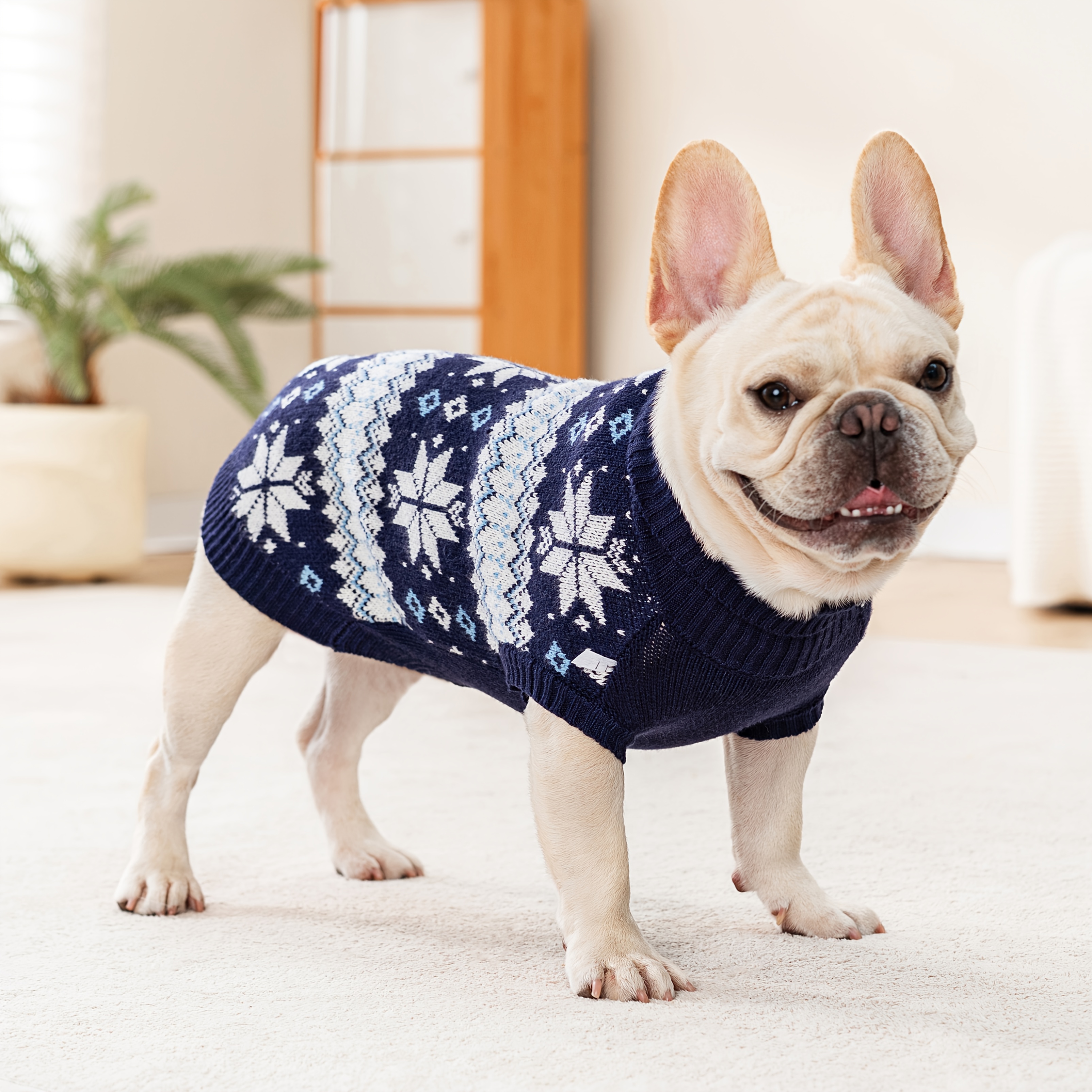 the black dog sweater All-Star Black Dog Hoodie
