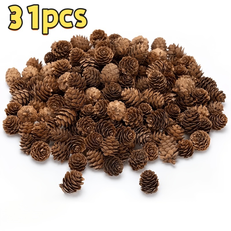 TEMU 31 pezzi di artificiali marroni - Mini realistiche con texture e di legno naturale, tonalit� marroni e dorati - Adatte per Natale, matrimoni,