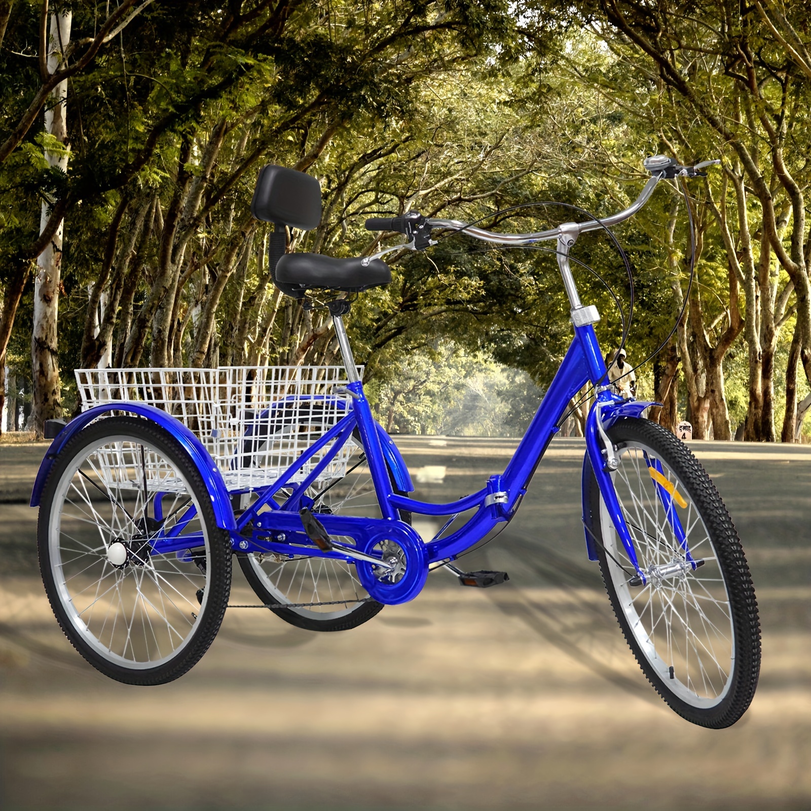 10 speed tricycle online