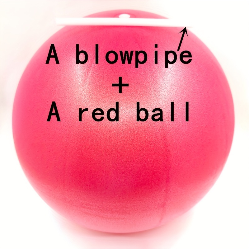 TEMU Yoga Ball Pilates Ball Fitness Ball Massage Ball