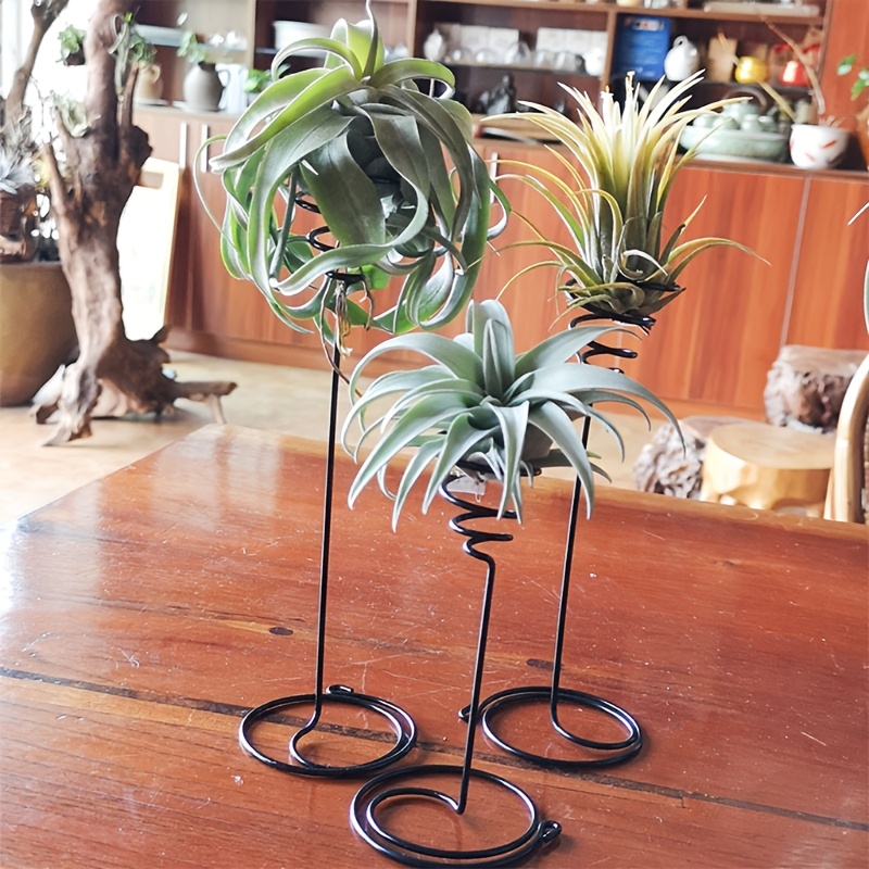 [No Punching] Wrought Iron Wall Hanging Air Plant Stand * Style Hanging  Succulent Planter 3 Sizes * Holder Indoor Desktop Micro Landscape  Decorative Flower Pot