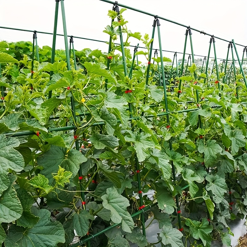 51pcs Set: Cucumber Trellis, Bean Trellis, Tomato Support Stakes, and  Vegetable and Melon Scaffolding. * 25 Poles, 14 Connector Tubes, 4 A-shaped  Forks, and 8 Clamps. * Assembled into a Support Frame ...